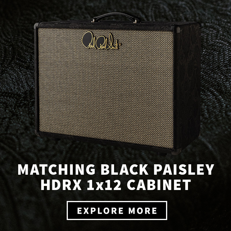 HDRX 1x12 Cabinet Black Paisley Limited Edition - Learn More