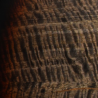 Charcoal Tri-Color Burst Charcoal Tri-Color Burst