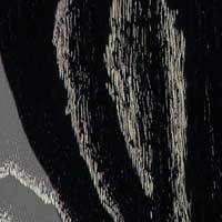 Black Doghair Black Doghair