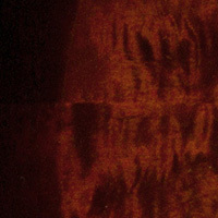 Burnt Amber Burst Burnt Amber Burst