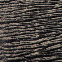 Charcoal Phoenix Charcoal Phoenix