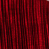 Blood Red