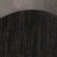 Elephant Gray Elephant Gray