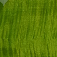 Eriza Verde* Eriza Verde*