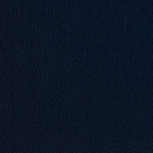 Indigo Blue