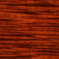 Orange Tiger Smokeburst Orange Tiger Smokeburst