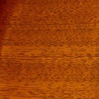 Dark Cherry Sunburst