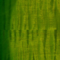 Eriza Verde Eriza Verde