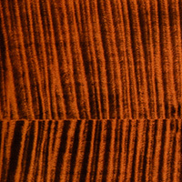 Orange Tiger Smokeburst