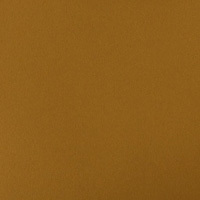 Gold Top (moon inlays only) Gold Top (moon inlays only)