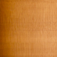 Vintage Sunburst Vintage Sunburst