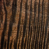 Charcoal Purple Burst