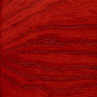 Amaryllis Satin Amaryllis Satin