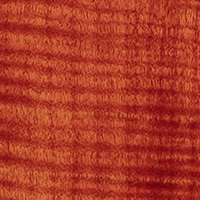 Blood Orange Blood Orange