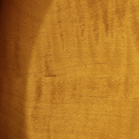 Honey Gold Burst Honey Gold Burst