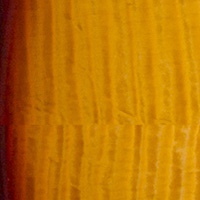 Vintage Nitro Honey Gold w/ Dark Cherry Smoked Burst Finish