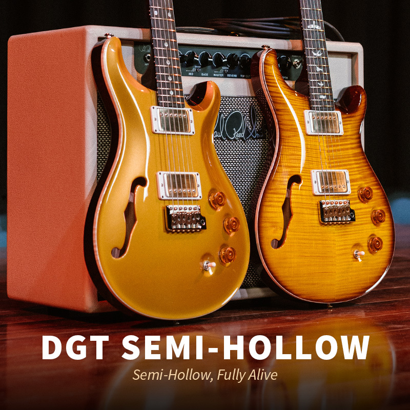 DGT Semi Hollow 800x800