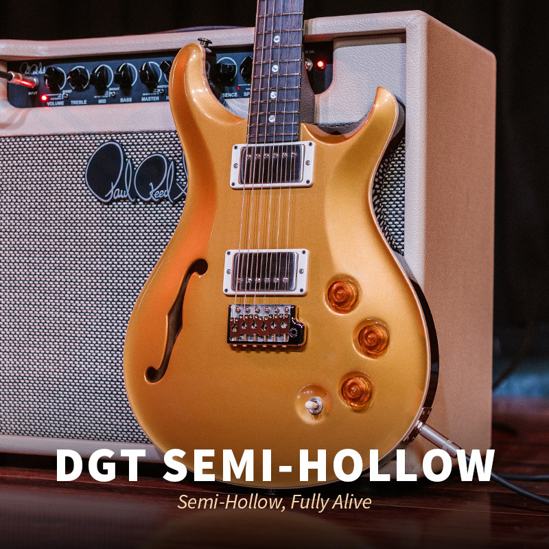 DGT Semi Hollow 800x800
