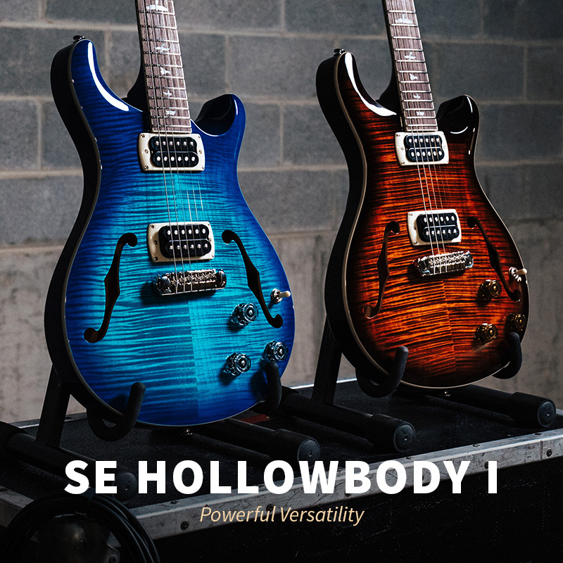 SE Hollowbody I 800x800