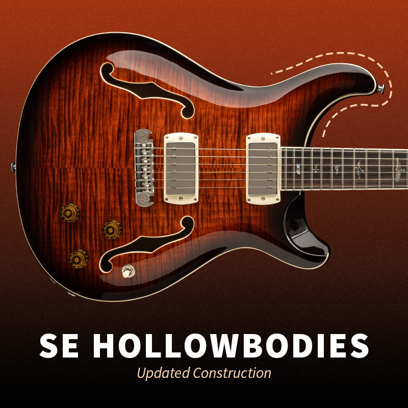 SE Hollowbody 800x800 2